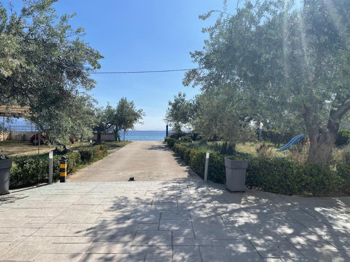 Amalfi Complex Apartment Kato Almiri